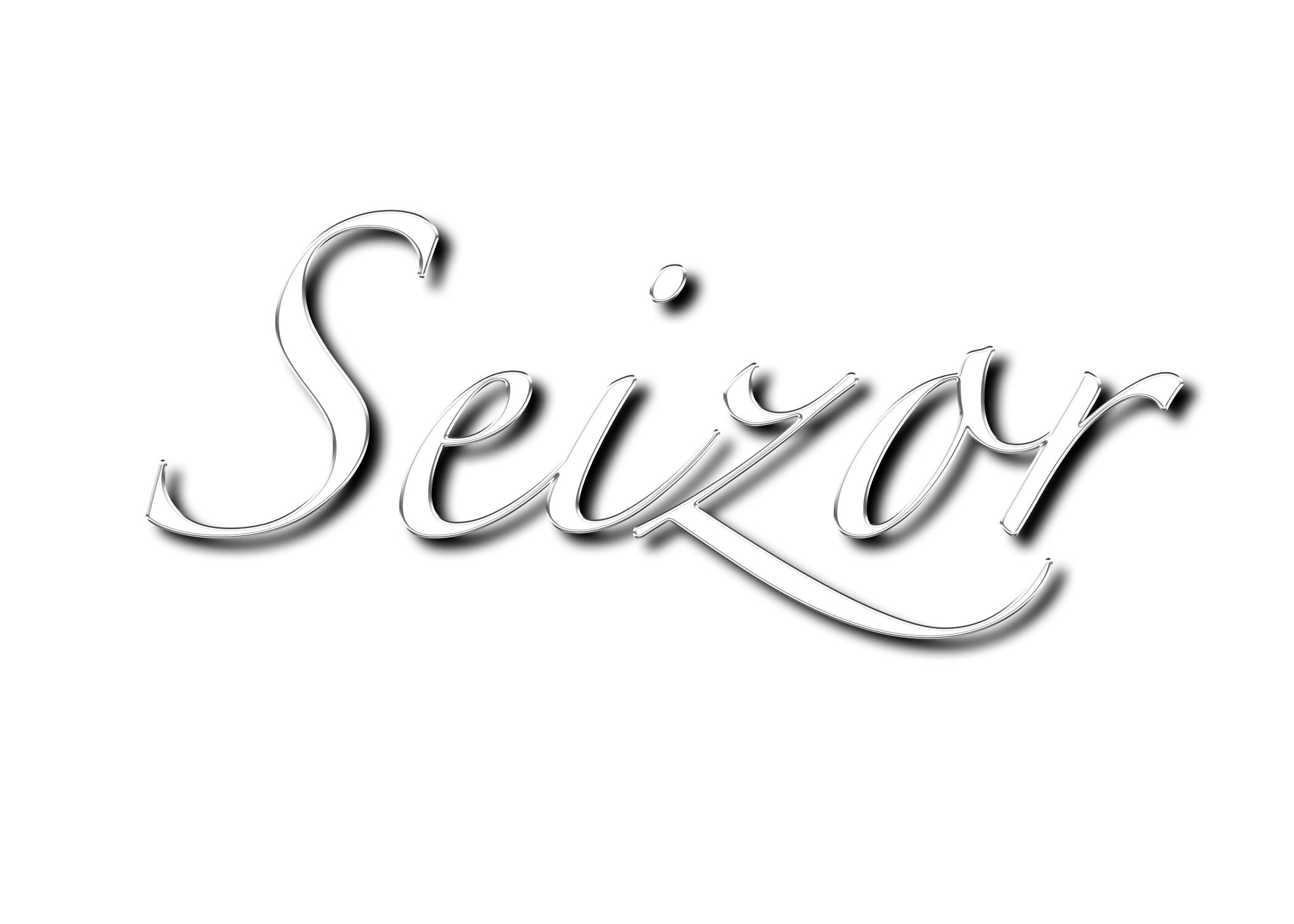 SEIZOR STUDIOS MOST HATED CAPSULE
