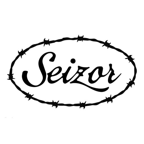 Seizor Studios